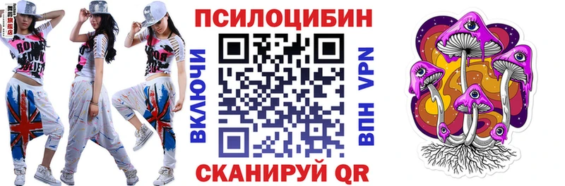 сколько стоит  Железногорск-Илимский  mega рабочий сайт  Псилоцибиновые грибы мухоморы 