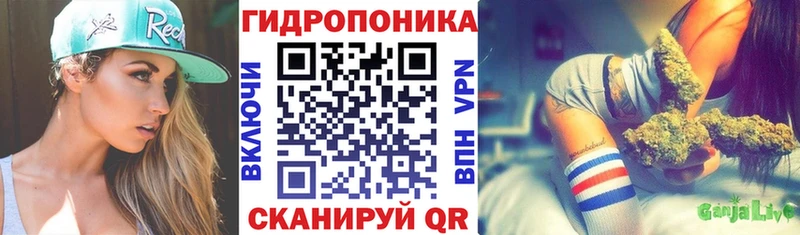 Бошки Шишки гибрид  где найти   Железногорск-Илимский 
